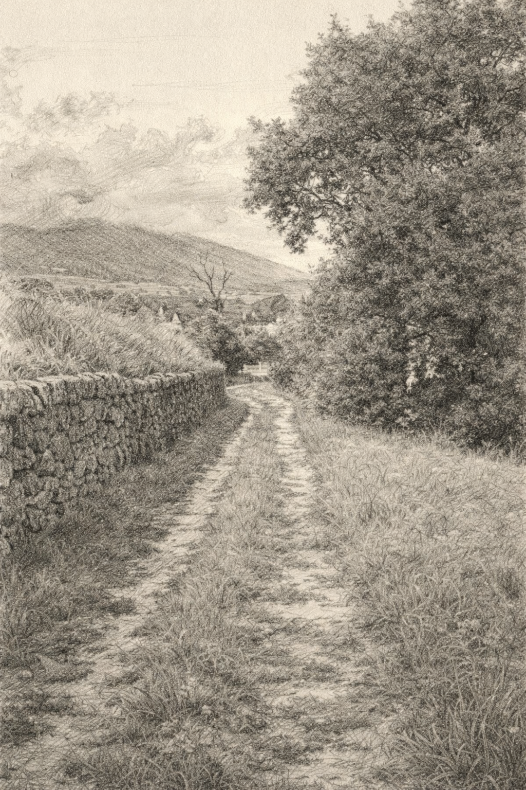 Chemin dans la nature